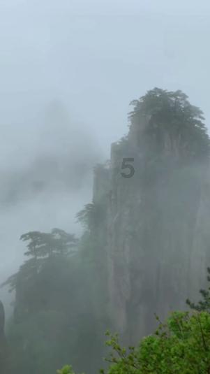 蓝狐视频