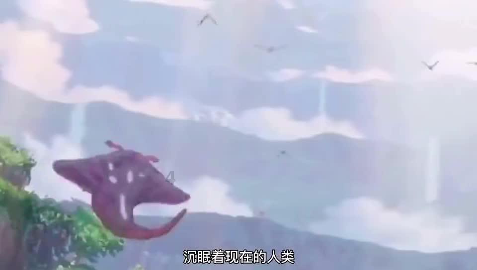 月光影视