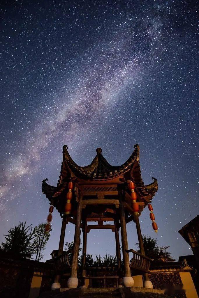 虫虫助手下载